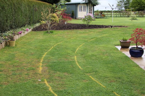 Garden advice project example by Tony Harding