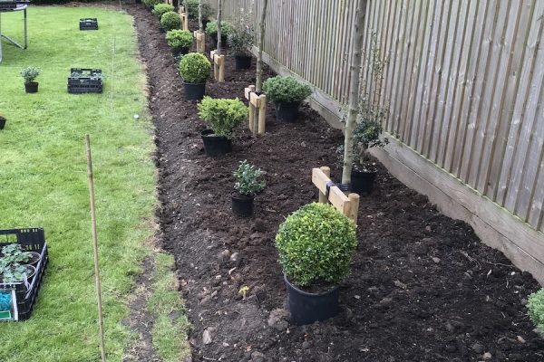 Garden Development Hoby Near Melton Mowbray