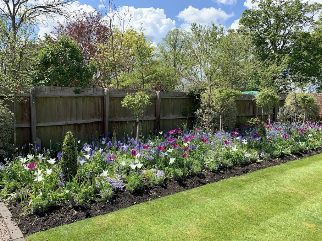Mature garden planting and lawn example
