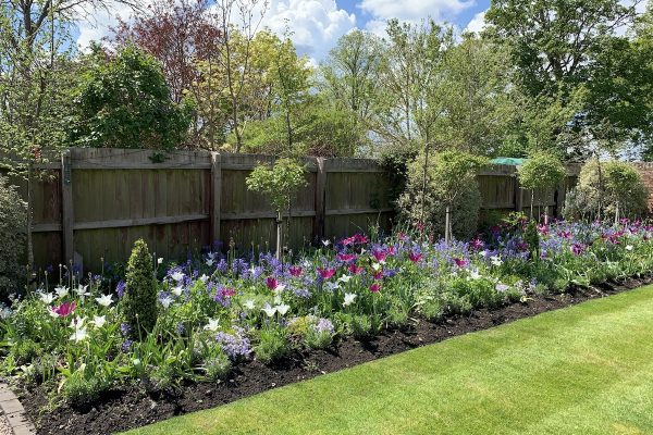 Mature garden planting and lawn example