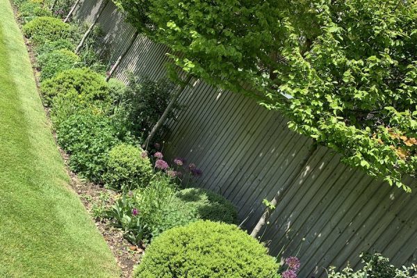 Garden Development Hoby Near Melton Mowbray