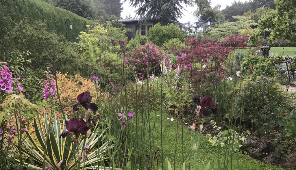 Established garden used by Tony Harding Garden Adviser for practical garden consultation and planning advice