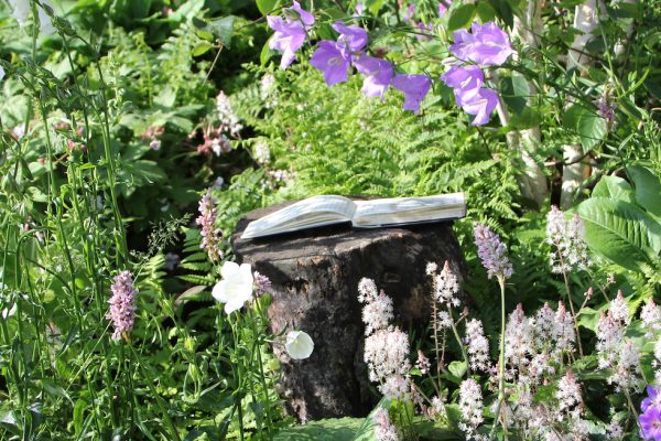 Garden Landscape Design | Garden Consultation | Garden Lessons Leicester