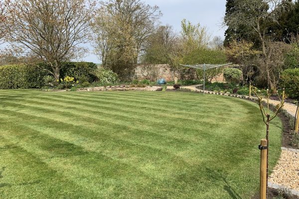 Garden project photograph for practical horticultural advice