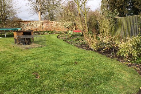Garden border project image for planting and maintenance advice