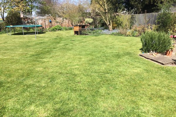 Garden planting project image for garden adviser services