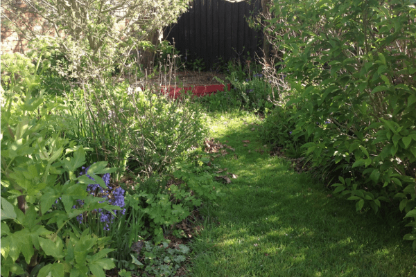 Garden project image for Tony Harding garden design guidance