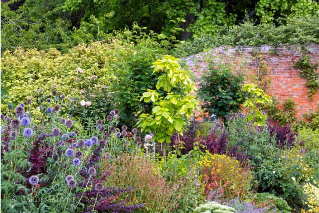 Garden advice and planting image for Applying this advice in a real UK garden