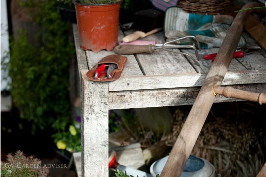 Garden advice and planting image for Applying this advice in a real UK garden