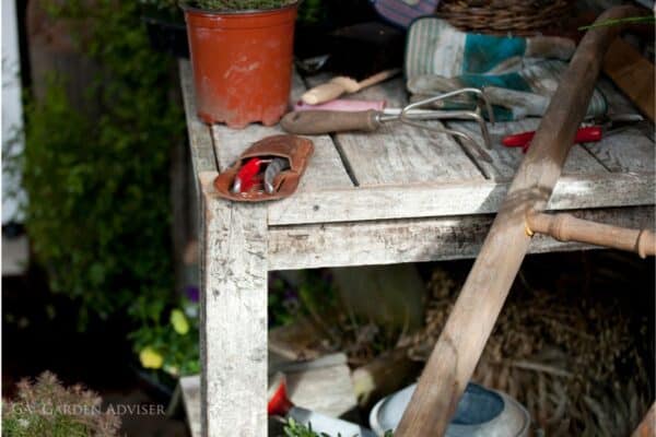 Garden advice and planting image for Applying this advice in a real UK garden