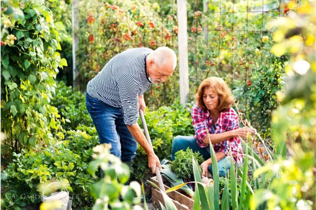 Garden advice and planting image for How this becomes site-specific garden advice