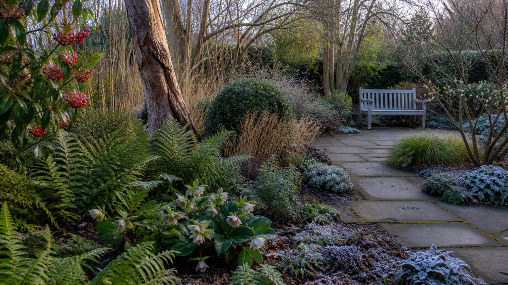 Gardening in December: A garden designer’s perspective seasonal UK garden advice image