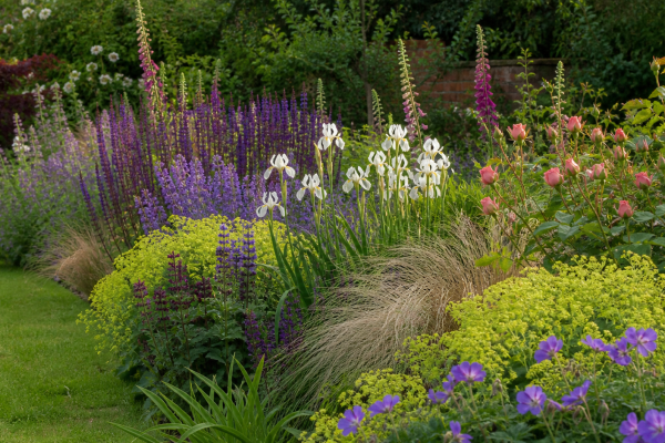 Gardening in May: A garden designer’s perspective seasonal UK garden advice image