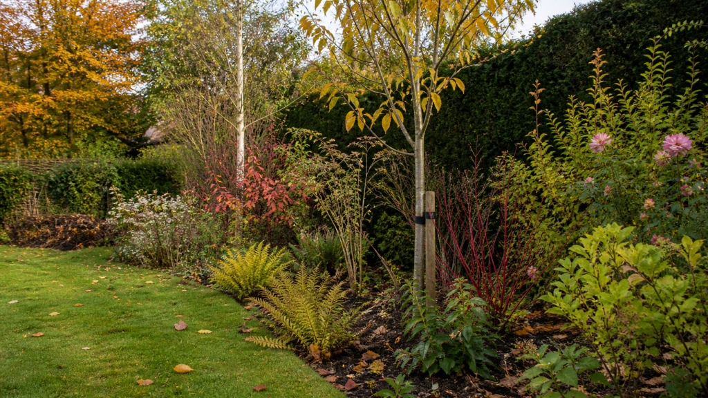 Gardening in October: A garden designer’s perspective seasonal UK garden advice image