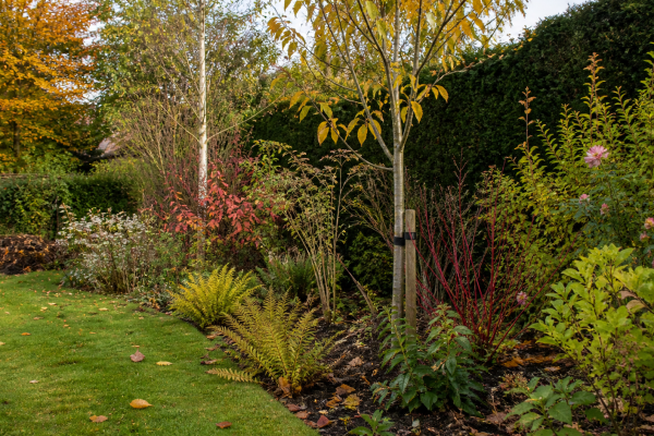 Gardening in October: A garden designer’s perspective seasonal UK garden advice image